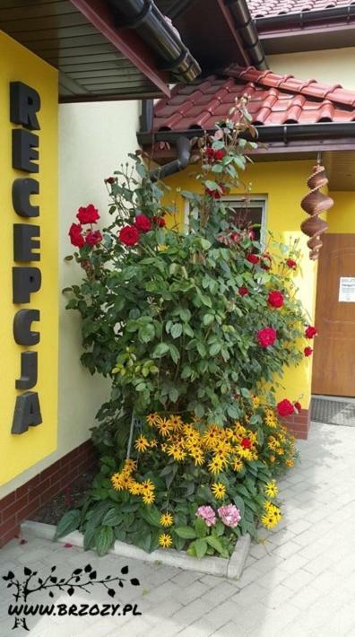 Hotel Pod Brzozami - Pokoj 2-Osobowy Z Udogodnieniami Dla Niepelnosprawnych Ustronie Morskie Exterior foto